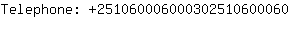 Telephone: 25106000600030251060....