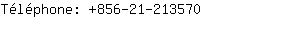 Tlphone: 856-21-21....