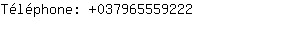 Tlphone: 03796555....