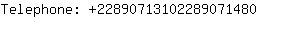 Telephone: 2289071310228907....