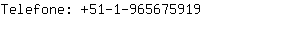 Telefone: 51-1-96567....