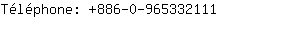 Tlphone: 886-0-96533....