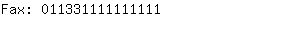 Fax: 01133111111....