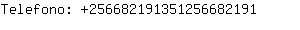 Telefono: 25668219135125668....