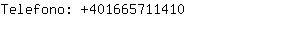 Telefono: 40166571....
