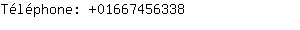 Téléphone: 0166745....