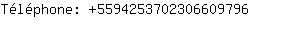 Tlphone: 559425370230660....