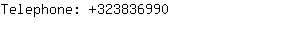 Telephone: 32383....