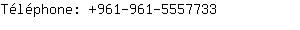 Tlphone: 961-961-555....