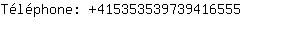 Tlphone: 41535353973941....