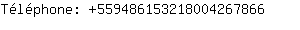 Tlphone: 55948615321800426....