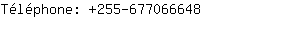 Tlphone: 255-67706....