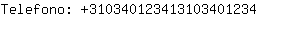 Telefono: 31034012341310340....