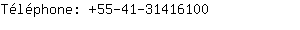 Tlphone: 55-41-3141....