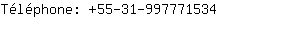 Téléphone: 55-31-99777....