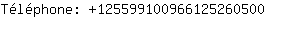 Tlphone: 12559910096612526....