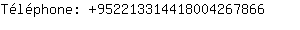 Tlphone: 95221331441800426....