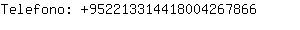 Telefono: 95221331441800426....