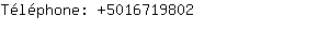 Téléphone: 501671....