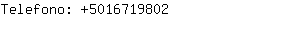 Telefono: 501671....