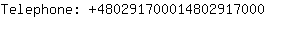 Telephone: 48029170001480291....
