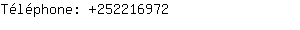 Téléphone: 25221....