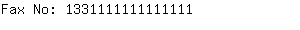 Fax No: 133111111111....