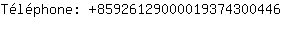 Tlphone: 8592612900001937430....