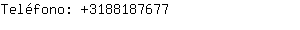 Teléfono: 318818....