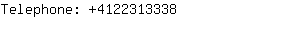 Telephone: 412231....