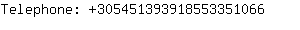 Telephone: 30545139391855335....