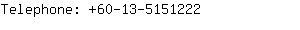 Telephone: 60-13-515....