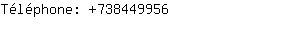 Téléphone: 73844....