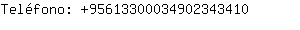 Telfono: 9561330003490234....