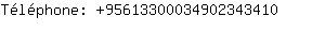 Tlphone: 9561330003490234....