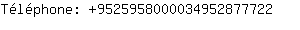 Tlphone: 952595800003495287....