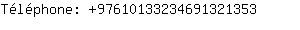 Tlphone: 9761013323469132....