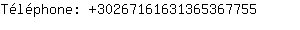Tlphone: 3026716163136536....