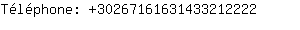 Tlphone: 3026716163143321....
