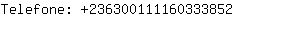 Telefone: 23630011116033....