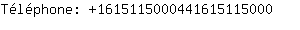 Tlphone: 161511500044161511....