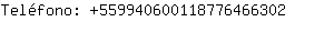 Telfono: 55994060011877646....