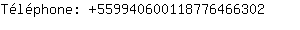 Tlphone: 55994060011877646....