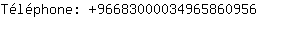 Tlphone: 9668300003496586....