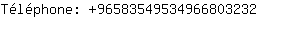 Tlphone: 9658354953496680....