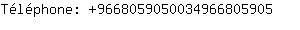 Tlphone: 966805905003496680....