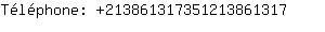 Tlphone: 21386131735121386....