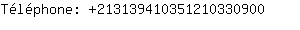 Tlphone: 21313941035121033....