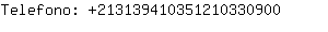 Telefono: 21313941035121033....