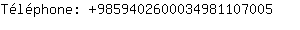 Tlphone: 985940260003498110....